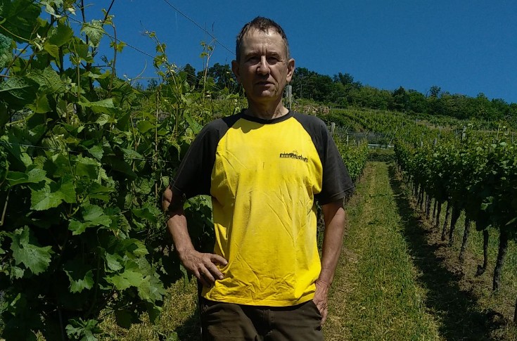 Le millésime 2023 part sur de bonnes bases en Alsace