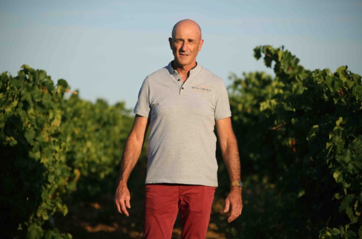 Not all of France’s co-operative wineries are suffering a downturn Not all of France’s co-operative wineries are suffering a downturn