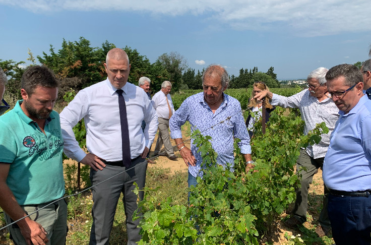 Au vignoble, la grêle passe, la moyenne olympique reste