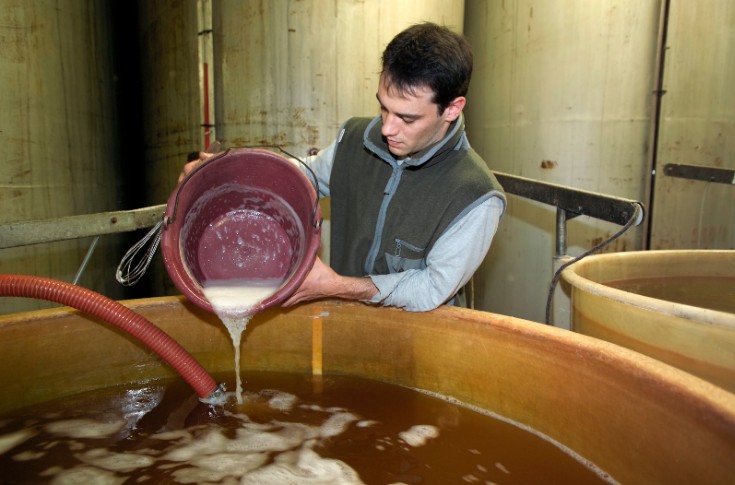 Une nouvelle solution de collage pour les vins rouges vegan et bios