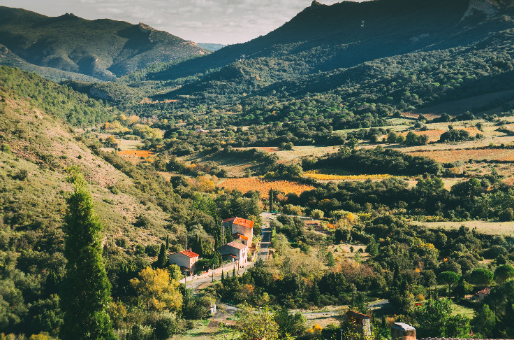 Corbières sortira de l’interprofession des vins du Languedoc