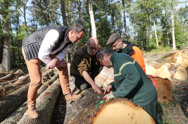 La maison de cognac Courvoisier veut sauver les forêts de chêne