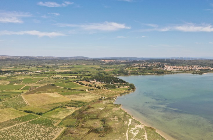 Des vendanges prometteuses partout sauf sur le littoral méditerranéen