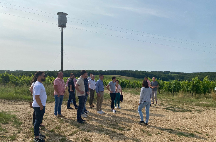 Cordier by InVivo au soutien commercial des Vignerons de Buzet