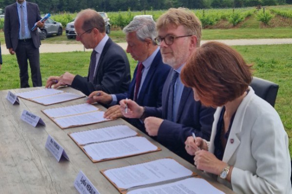 L'arrachage des vignes bordelaises lancée avec boisement sur 30 ans, jachère sur 20 ans ou diversification