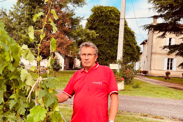  Si pas de 'renaturation', pas d'aide pour arracher : une 'hérésie' pour les vignerons