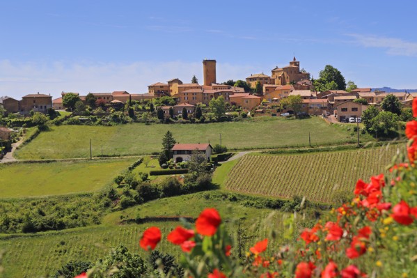 L’espoir d’un beau millésime dans le vignoble du Beaujolais 
