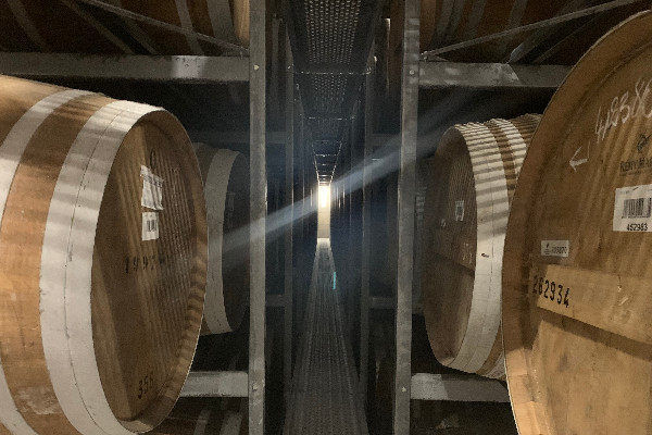 Les ventes de Cognac ralentissent, les rendements 2023 et plantations 2024 aussi ?