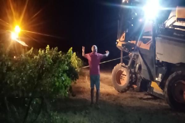  Deux accidents tous les trois jours en tracteur viticole