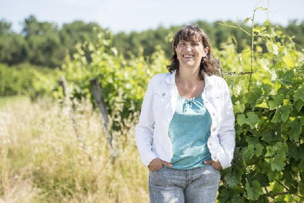  Les témoins non traités, des indicateurs fiables de la pression du mildiou dans les vignes