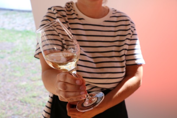 Une bonne surprise pour les premiers vins produits dans les Hauts de France 