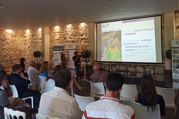 Des vins rouges haut de gamme à partir de raisins vendangés très tôt 