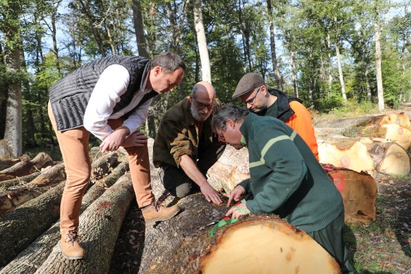 La maison de cognac Courvoisier veut sauver les forêts de chêne