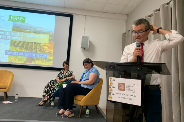 La viticulture française face à l’effondrement de la consommation mondiale de vin