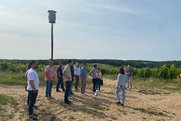 Cordier by InVivo au soutien commercial des Vignerons de Buzet