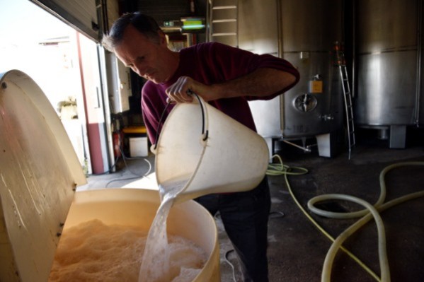 Les enjeux des vinifications 2023 