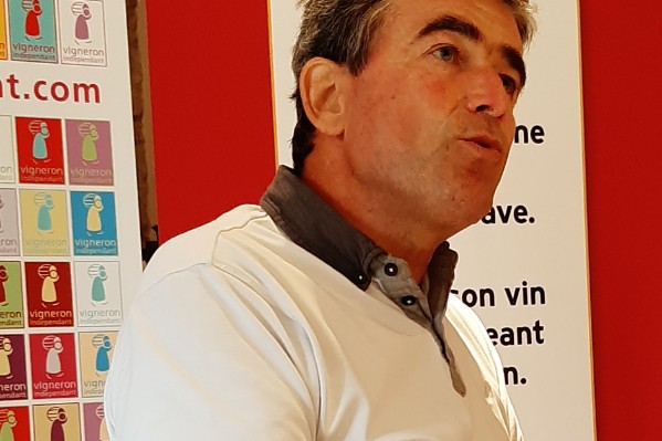 Le vignoble alsacien prend conscience de l’enjeu de la transmission 