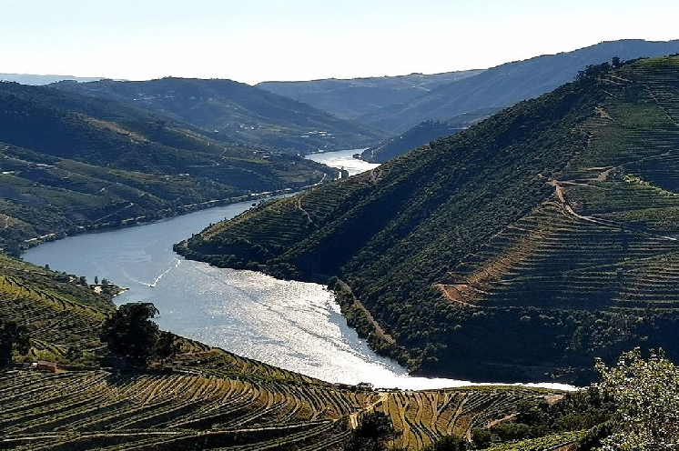 Le Portugal frappé durement par la crise viticole