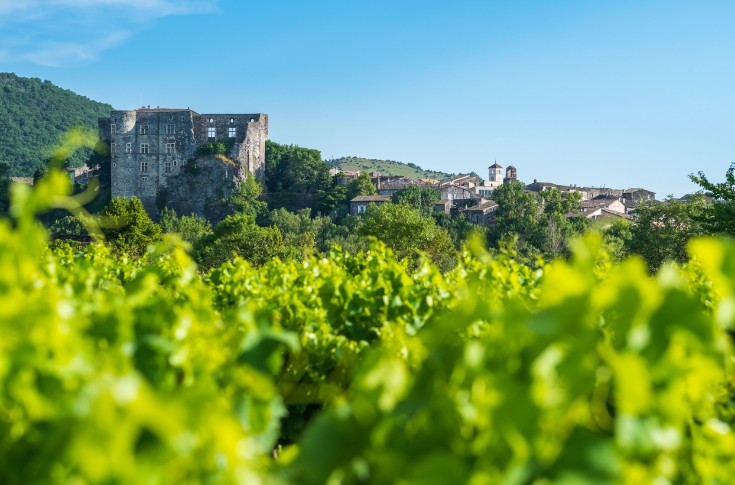 Le soleil de retour pour la floraison du vignoble ardéchois