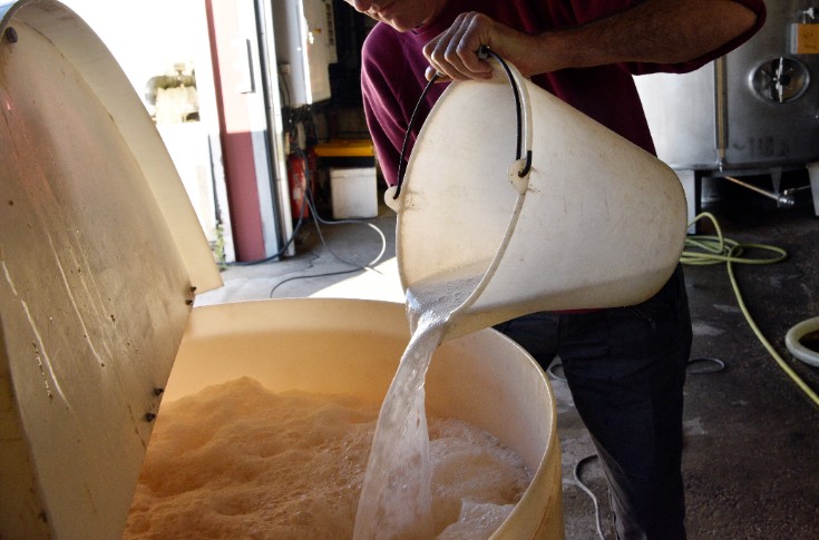 Le point sur trois tendances de vinification en 2024