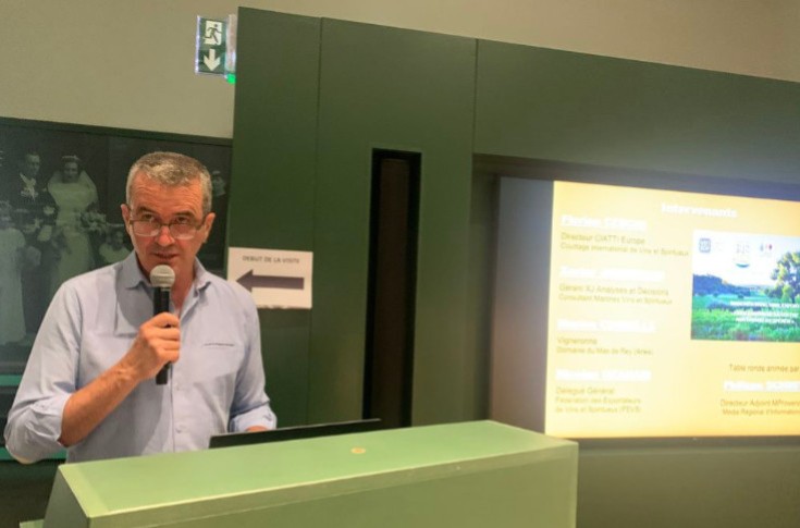 Les vins IGP à la recherche de raisons d’espérer
