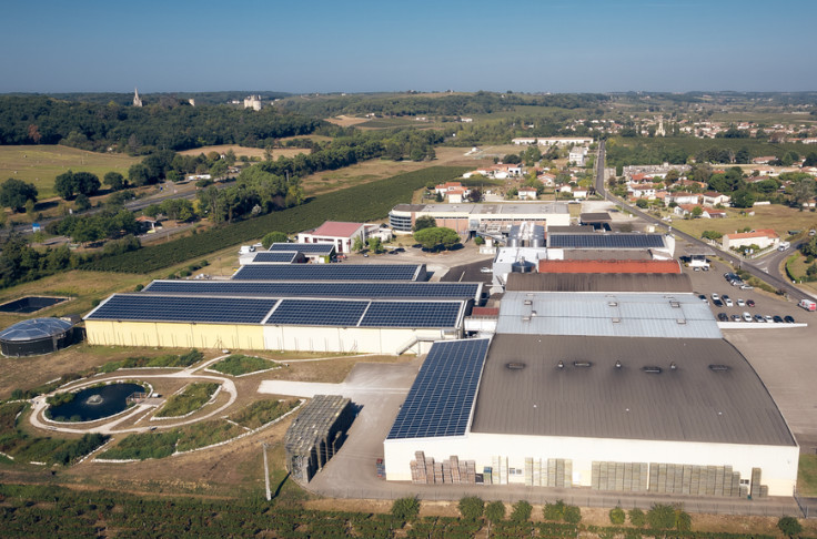 Ouverture de la procédure de sauvegarde pour la cave de Buzet