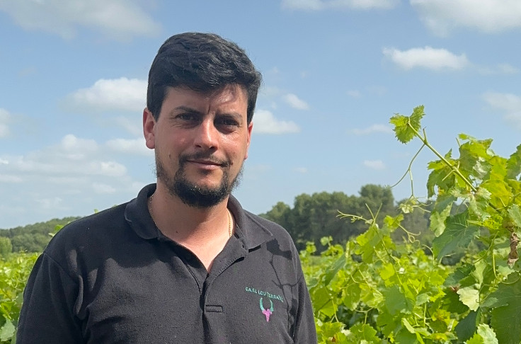 Le vignoble prêt à se remobiliser 