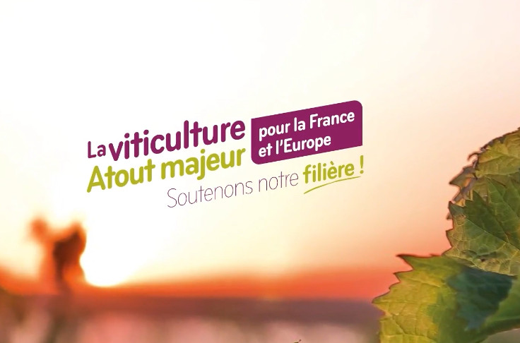 Les vins AOC et IGP rappellent leurs revendications au bon souvenir des futurs députés