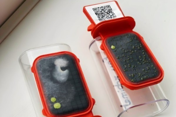 Nouvel outil d’analyse microbiologique basée sur l’IA et lancement d’un partenariat avec Soufflet Vigne pour Alimpex