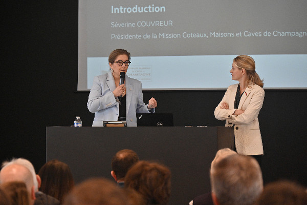 La Champagne prépare ses dix ans d'inscription à l’Unesco