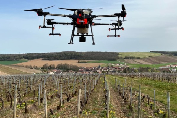 Le traitement par drone des vignes en pente de retour à l'Assemblée