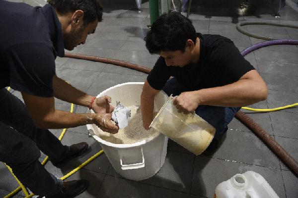 Toutes les nouvelles levures disponibles pour les vinifications 2024