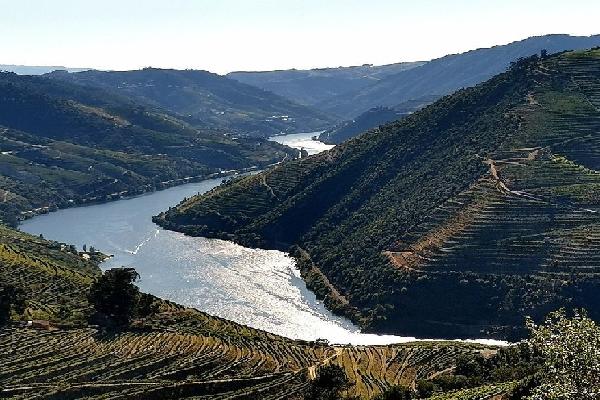 Le vignoble du Porto dans la tourmente