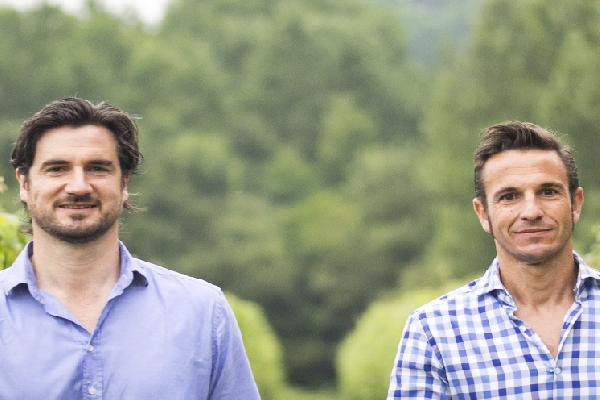 Obtenir des vins à petits degrés naturellement, ce n'est pas si simple