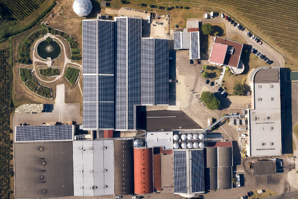 La cave de Buzet demande la protection du tribunal