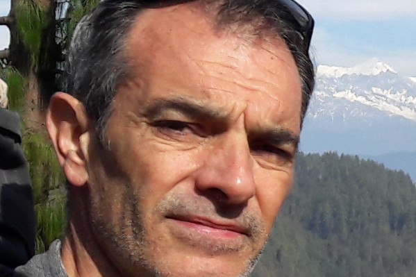 Le boisement des vignes arrachées en alternative économique à la jachère