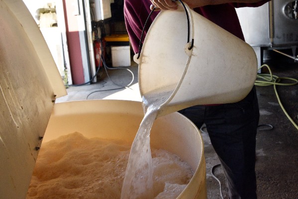 Le point sur trois tendances de vinification en 2024