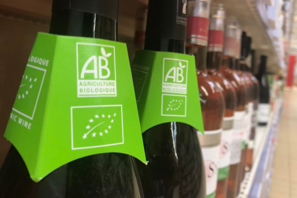 Le vignoble vit des bio et des bas : +14 % de ventes directes, -34 % de conversion…