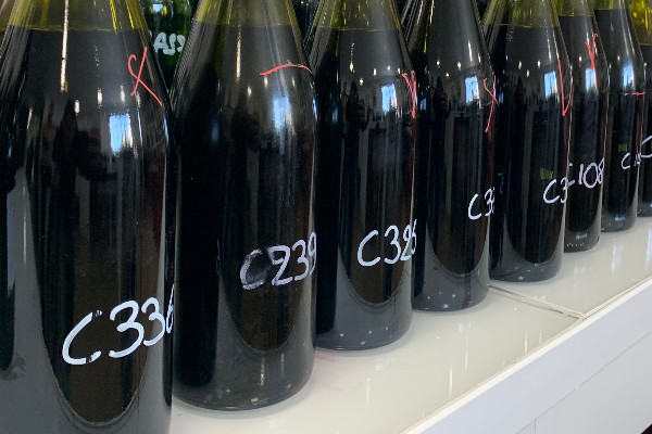 Une vigne bio sur trois se trouve en Occitanie