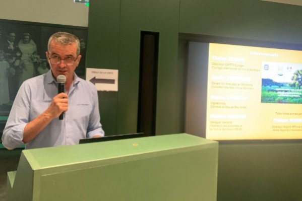 Les vins IGP à la recherche de raisons d’espérer