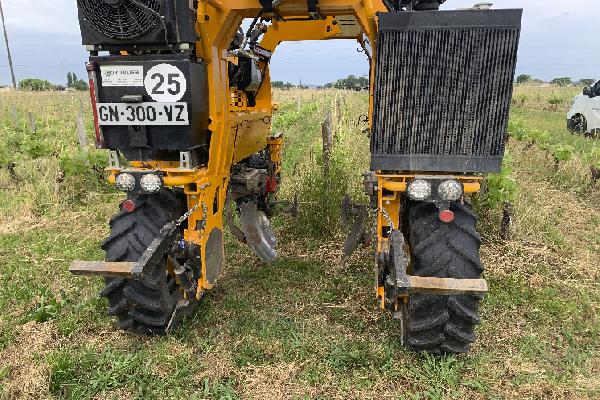 Désherber mécaniquement sans palpeurs quand c'est la jungle dans les vignes ? Même pas peur !