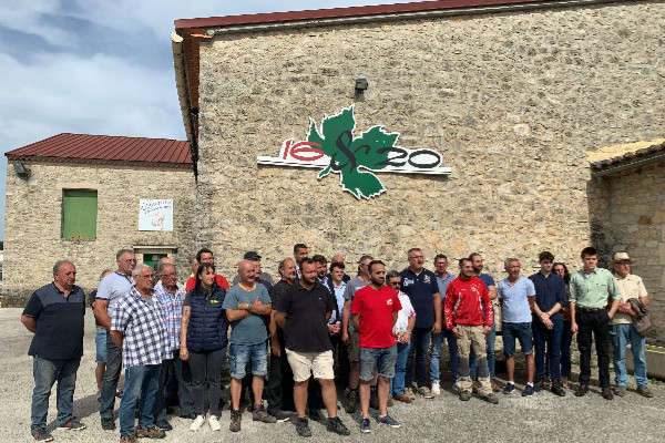 Ces vignerons dénoncent 'un vol en bande organisée' de FranceAgriMer