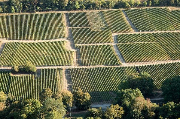 La stratégie de Bollinger pour assoir sa légitimité dans les vins de Sancerre