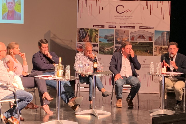 La cave coopérative 'deuxième église du village' en Occitanie