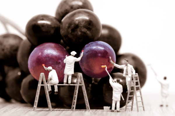 FranceAgriMer, le droit à la terreur administrative pour la filière vin ?