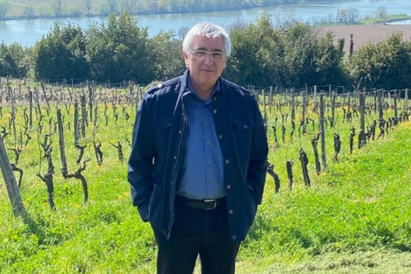 Le risque mildiou doit pouvoir être assuré dans le vignoble pour ce sénateur