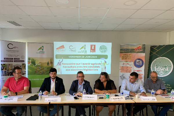 Le vignoble veut plus que des promesses