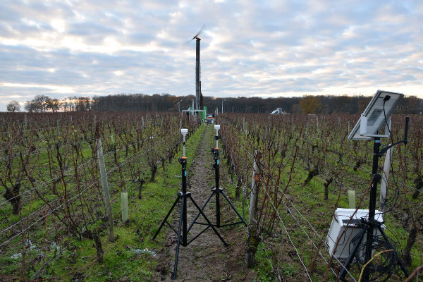 Souhait vigneron de nouvelles recherches sur les tours anti-gel