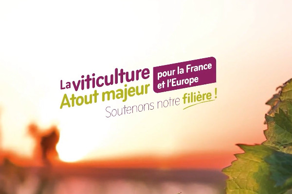 Les vins AOC et IGP rappellent leurs revendications au bon souvenir des futurs députés