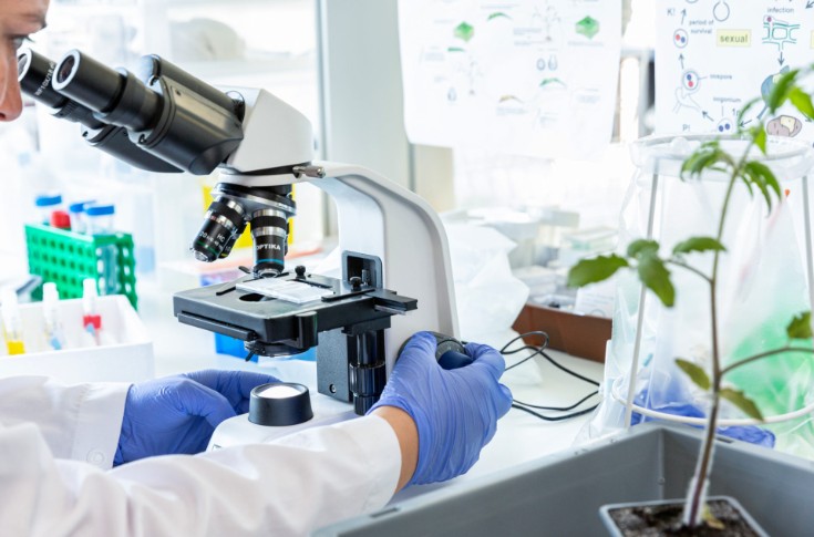 Corteva mise sur les micropeptides anti-mildiou et oïdium de la vigne